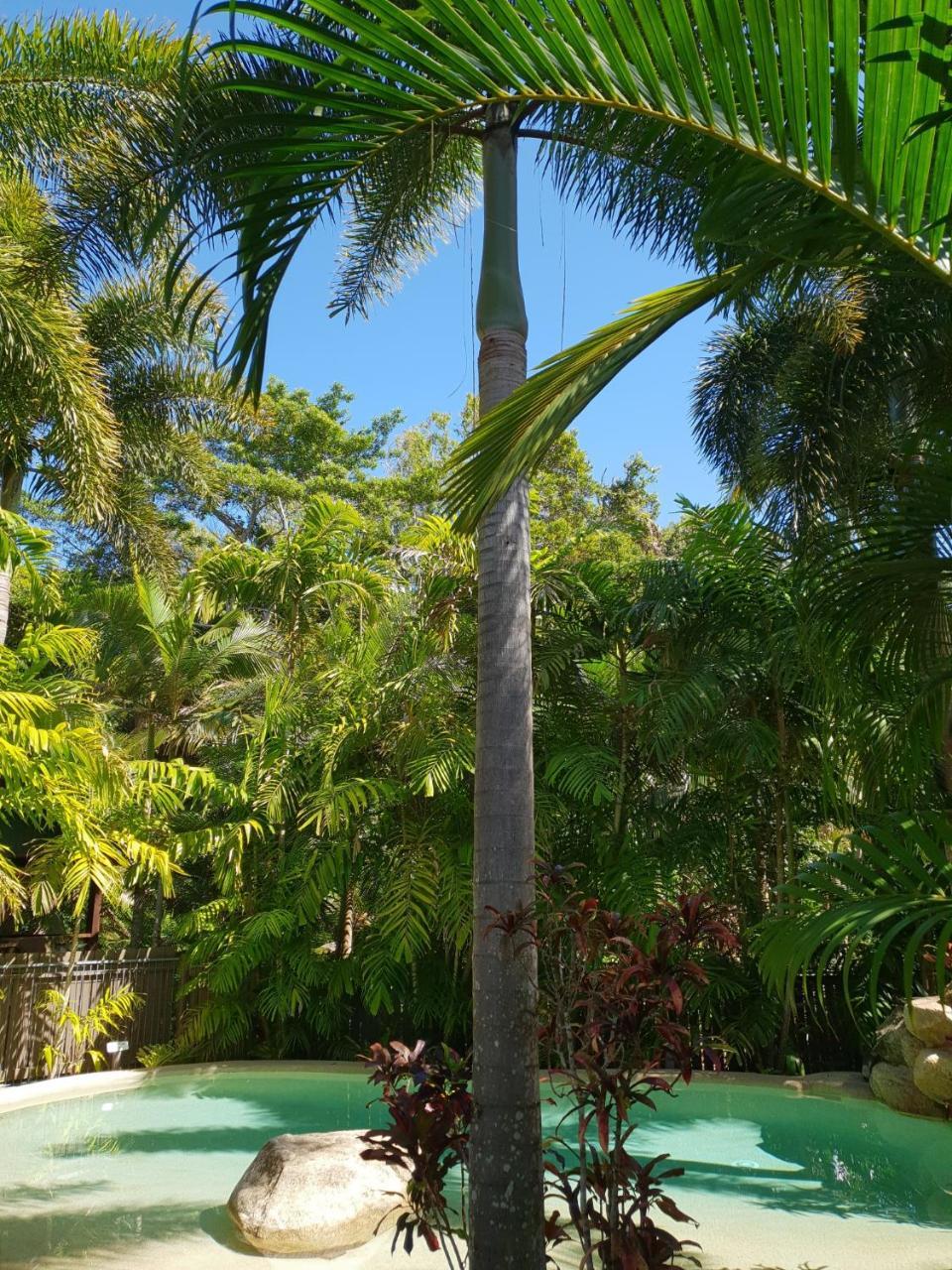 Cassawong Cottages Mission Beach Εξωτερικό φωτογραφία